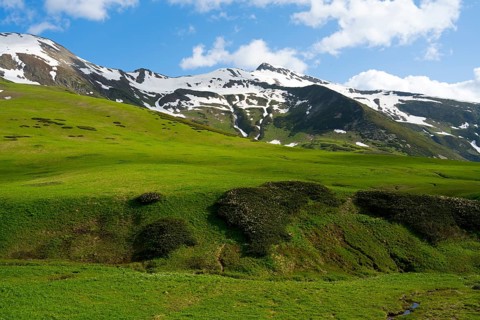 Green meadows in front of snow-covered mountains under a blue sky with clouds, Zagari Pass,