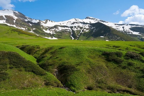 Wide green hills under clear skies with snowy peaks, Zagari Pass, Svaneti, Svaneti, Greater
