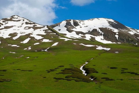 Grassy slopes with snowy peaks under blue sky, Zagari Pass, Svaneti, Svaneti, Greater Caucasus,