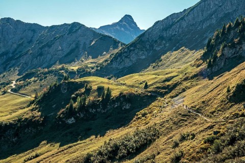 View of hiking trails and the Allgäu mountains from the Saalfelder Höhenweg, Schochenspitze in the