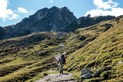 Female hiker on hiking trail, Sallfelder Höhenweg, back Schochenkopf, Tannheimer Mountains, Allgäu