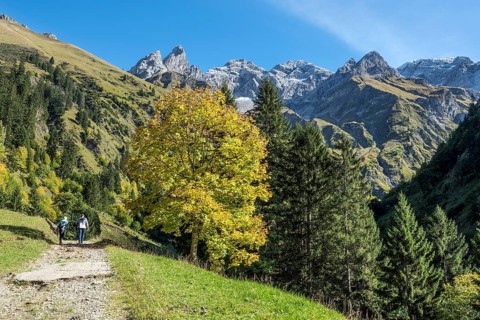Hiking trail in Bacherloch Valley, back mountains of the Allgäu Alps with Trettachspitze,
