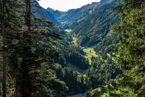 View of the Rappenalptal, near Einödsbach, Birksau, Oberstdorf, Oberallgäu, Allgäu, Bavaria Germany