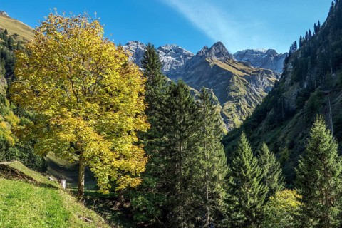 Bacherloch Valley, behind mountains of the Allgäu Alps, autumn atmosphere, autumn-colored trees,