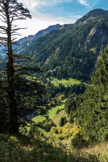 View of Bacherloch Valley and Rappenalp Valley with Buchrainer Alpe, Einödsbach, Birgsau,