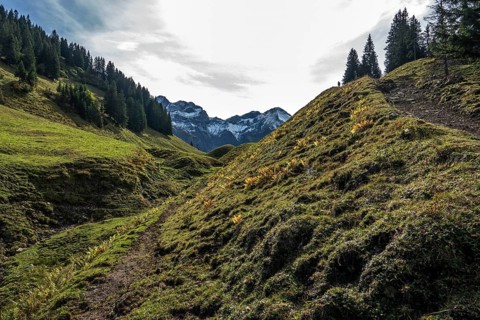 Hiking trail on Einödsberg, Einödsbach, behind mountains of the Allgäu Alps, Oberstdorf,