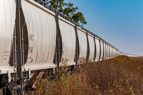 Luverne, Minnesota - Dozens of Halliburton covered hopper rail cars, used for carrying grain, are