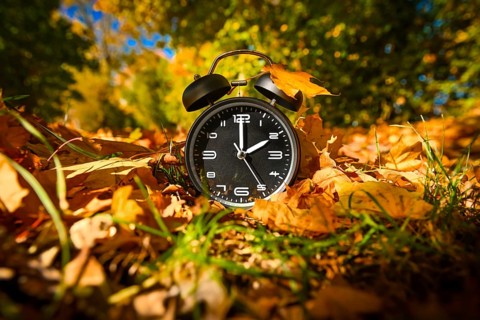 Alarm clock between autumn leaves, symbolic photo of time change and winter time