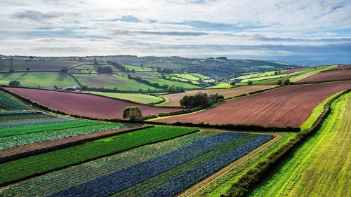 Fields and Farms at evening sun from a drone, Shaldon, Torquay, Devon, England, United Kingdom