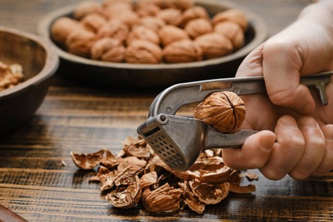 A person is cracking open a walnut using a metal nutcracker. Shelled walnut pieces and empty shells