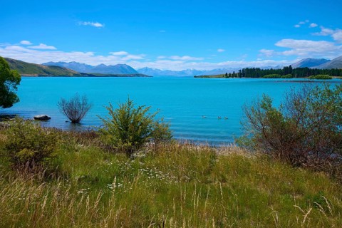 A calm lake with ducks surrounded by bushes and picturesque mountain scenery under blue skies, Lake