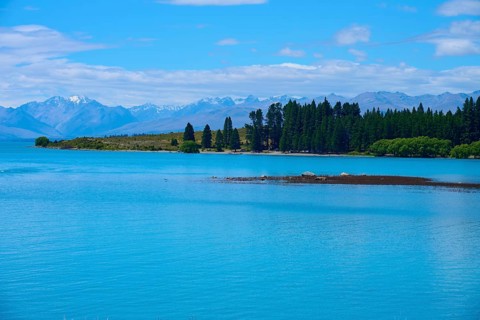 Clear water with trees on the shore against a backdrop of mountains and blue sky, Lake Tekapo,