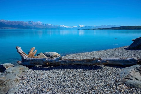 Flowwood on rocky shore overlooking a blue lake on mountains, Lake Pukaki Viewpoint, Pukaki,