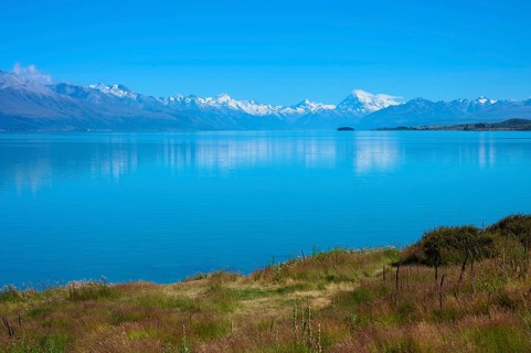 Landscape looking across meadow to a tranquil lake and snow-capped mountains, Lake Pukaki
