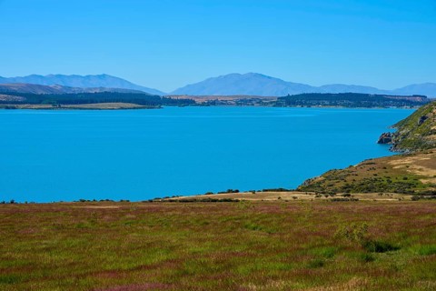 A calm lake with views of mountains and a grassy shoreline under clear blue skies, Lake Tekapo,