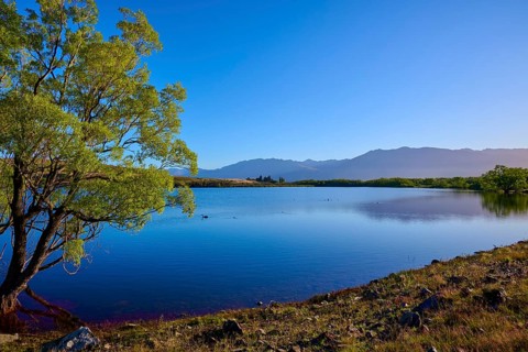 A quiet lake with trees and mountains under a clear sky, Lake McGregor, Tekapo, Canterbury, South
