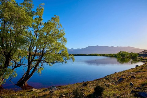 A calm lake with trees and mountains in sunlight, Lake McGregor, Tekapo, Canterbury, South Island,