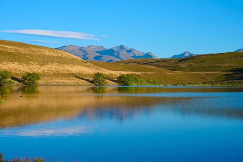 Calm lake with mountains and blue sky in the background, Lake McGregor, Tekapo, Canterbury, South