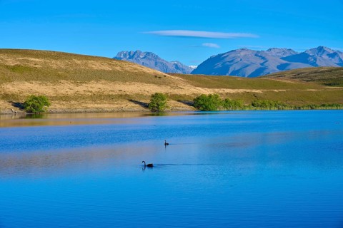 A calm lake with swans against a mountain backdrop under blue skies, Lake McGregor, Tekapo,