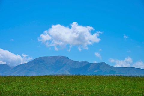 Green field with distant mountains and a cloud in the blue sky, Geraldine Fairlie Lookout,