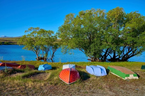 Several colored, overturned boats are moored on the lakeside with clear skies and green trees, Lake