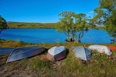 Overturned boats on lake shore with clear sky and green trees in the background, Lake McGregor,