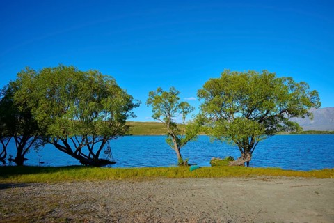Tranquil landscape with trees on the shores of a quiet lake under clear blue sky, Lake McGregor,