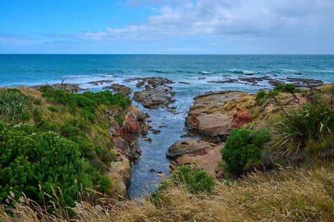 Rock formations with lush vegetation on the coast under blue sky, Shag Point Lookout, Shag Point,
