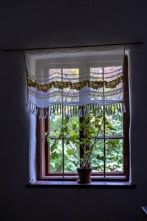 Window with floral pattern curtain and potted houseplant in low light, Weinviertel Lower Austria