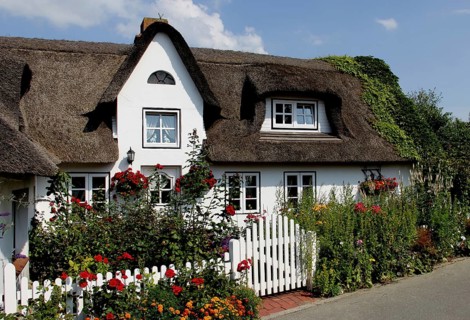 House with thatched roof and front garden, Amrum Island, Schleswig-Holstein, Germany