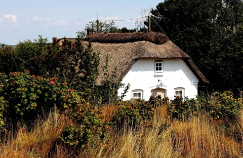 House with thatched roof on Amrum, Schleswig-Holstein, Germany