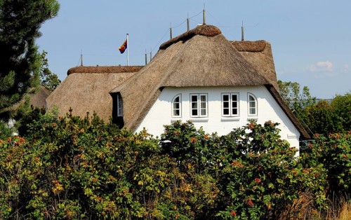 House with thatched roof, Amrum, Schleswig-Holstein, Germany