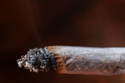 Close up view of a burning tobacco cigarette with forming ash and wisps of smoke rising from the