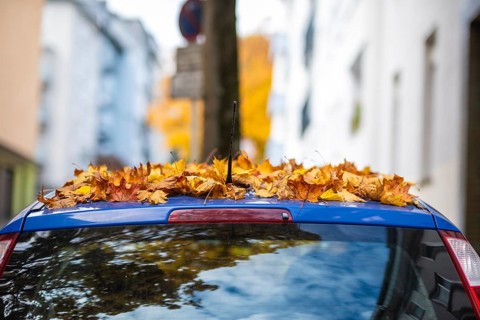A car is covered with a thick layer of autumn leaves in autumn, Wuppertal, Germany