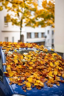 A car is covered with a thick layer of autumn leaves in autumn, Wuppertal, Germany