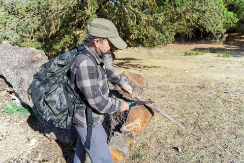 Bearded man wearing a backpack sawing wood for a campfire, preparing for survival camping in a