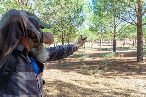 Man with beard and plaid shirt aiming a slingshot, focusing intently on a target in a pine forest
