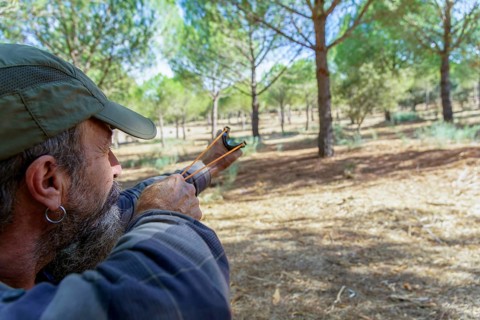 Bearded man in cap aims a slingshot in a sunlit pine forest, focused on target during outdoor