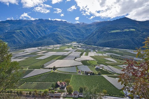In the Vinschgau Valley in Italy, fruit and wine are grown and there is a lot of agriculture
