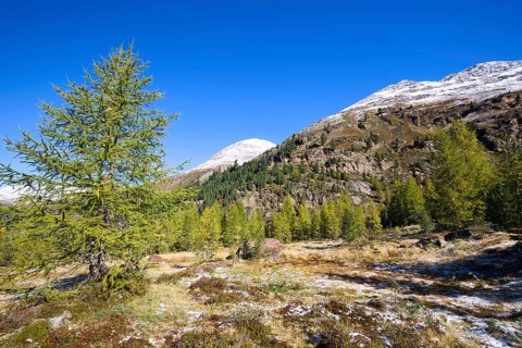 Mountain landscape with snow-capped mountain peaks in the Vinschgau Valley in Italy