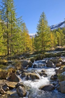The water flows from the glaciers down into the Langtauferer Valley in the Vinschgau Valley, Italy