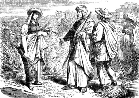 Ruth talks to Boaz and helps with the grain harvest, field, book of Ruth, chapter 2, harvest