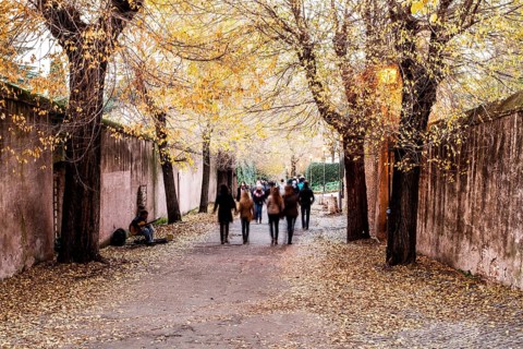 Via di San Bonaventura at the Palatine Hill. Rome, Province of Rome, Italy. 23.12.2012