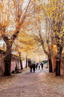 Via di San Bonaventura at the Palatine Hill. Rome, Province of Rome, Italy. 23.12.2012