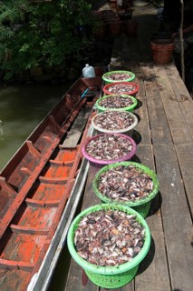 Thailand, Songkhla, Koh Yo, Waste of fishes to make flours intended for the animal feed