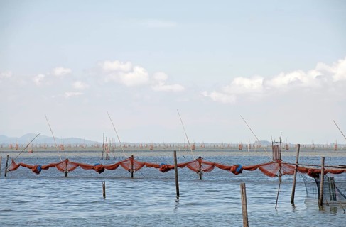 Thailand, Songkhla, Koh Yo, Aquacultural farm, Freshwater fish farming