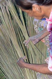 Thailand, Patthalung, Tale noi, Sorting, Separation and Tying up of the dried grey rushes or sedges