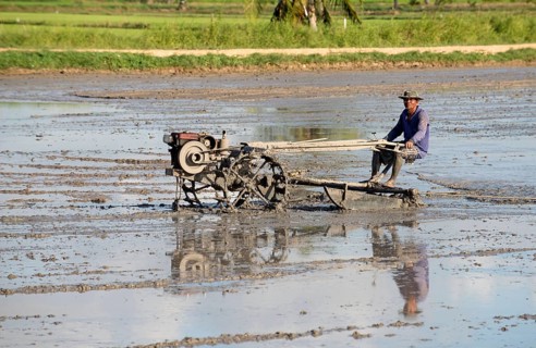 Southern Thailand, Farmer ride rice tractor for preparing the ground for rice plantation