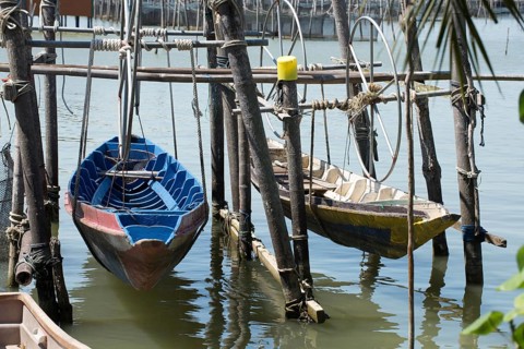 Thailand, Songkhla, Koh Yo, Aquacultural farm, Freshwater fish farming, Long-tailed boats out of
