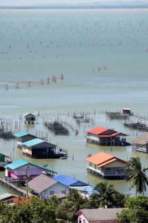 Thailand, Songkhla, Koh Yo, Aquacultural farm, Freshwater fish farming and field of bow nets